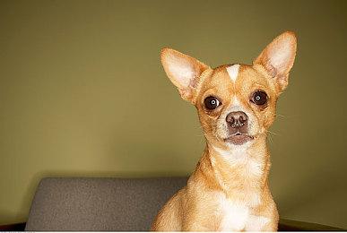 复古射击游戏《等离子狂怒》续作《幻影狂怒》公布